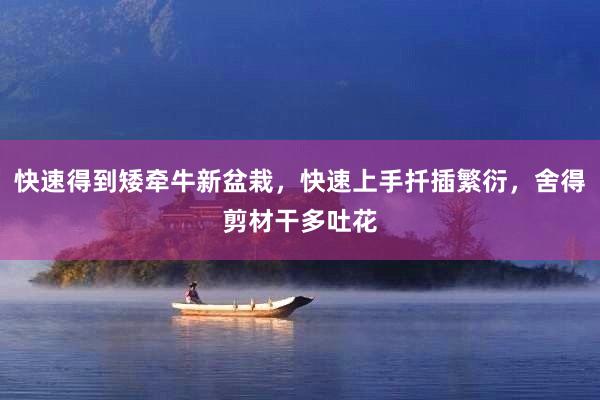 快速得到矮牵牛新盆栽，快速上手扦插繁衍，舍得剪材干多吐花