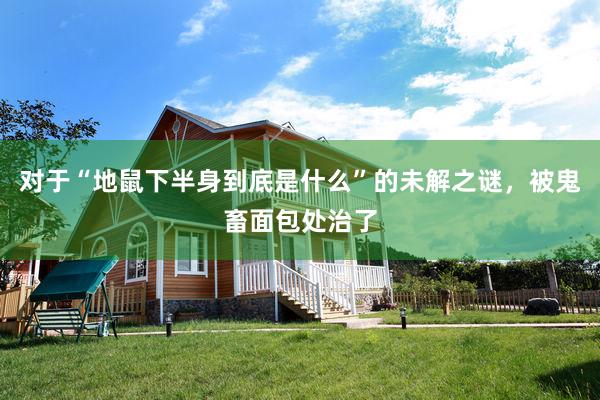 对于“地鼠下半身到底是什么”的未解之谜，被鬼畜面包处治了