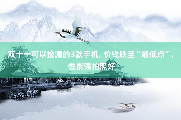 双十一可以捡漏的3款手机, 价钱跌至“最低点”, 性能强拍照好